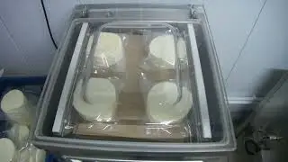 Вакуумный упаковщик сыра