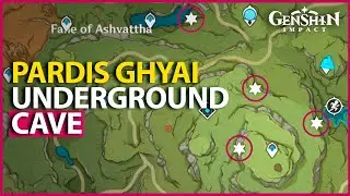 How to Unlock Pardis dhyai Underground Cave Puzzle Sumeru Puzzle Genshin Impact 3.0