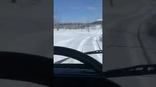 Такой лес точно Китайцам пилить не будут 😂