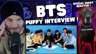 SPECIAL BTS REACTION! - THE BUZZFEED PUPPY INTERVIEW