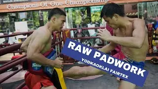 This Is What Training Muay Thai Looks Like