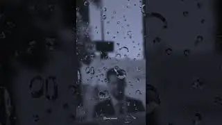 شێرکۆ بێکەس
