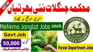 Punjab wildlife New Government job Mehkma jangali Hayat New job 2025 by Dija talks