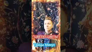 Цветут цветы #танцыминус #баян #баянист #music #топ #рок #русскийрок