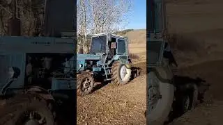 мтз 82 пашет 