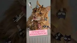 Прищепкоапокалипсис 