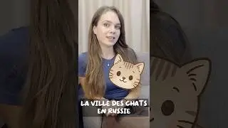 The city of cats - Zelenogradsk