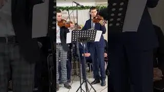 Дуэт скрипок