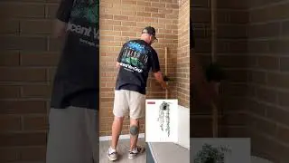 TRANSFORMANDO TERRAZA DE 6 metros cuadrados