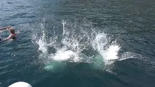 Montenegro'19 (Jump!)