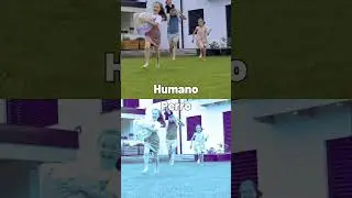 CÓMO VEN LOS PERROS? #shorts #ciencia #curiosidades