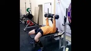 Жим гантелей лежа 22 кг * 8