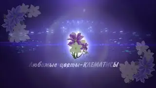 Клематисы на Волге