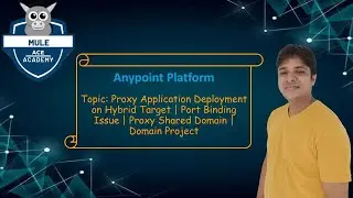 Proxy Application Deployment on Hybrid Target | Port Binding Issue | Proxy Shared Domain | Domain