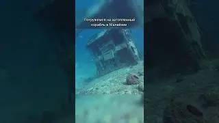 Дайвинг на затонувший корабль в Малайзии у острова Сипадан #дайвинг #путешествия #малайзия