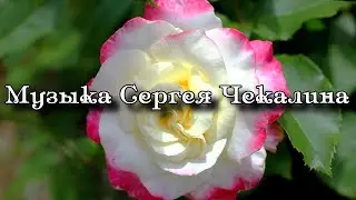 Шикарная музыка! Это Лучшая музыка для души! Сборник Сергей Чекалин! #2