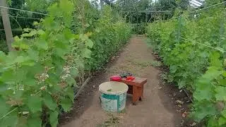 Моя школка