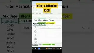 How to use Istext & IsNumber function in Excel #shorts #exceltech #exceltips #exceltricks #excelgyan