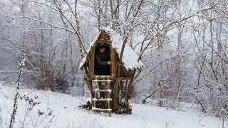 Building a Tree Shelter for Wilderness Survival