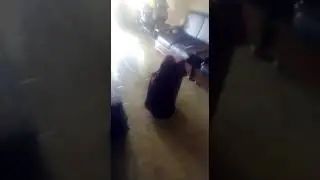 keponakan ku yg lucu mau pake  hijab nenek nya