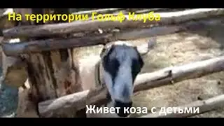 Гуляем по старым местам. Здесь  проходили все праздники. И когда - то была детская ЖД