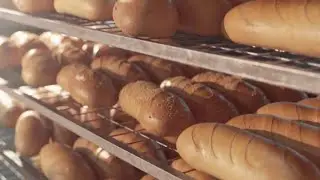 Tackling food fraud