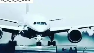 Тагдирди каранглар