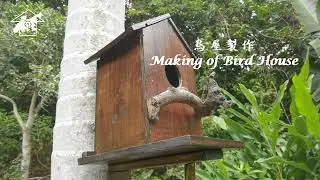 Making of Bird House