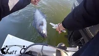 A Bad Day of Fishing Is Better Than a Good Day at Work