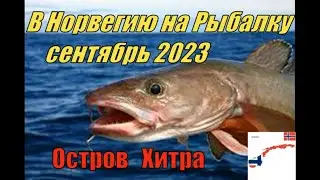 Рыбалка в Норвегии, Ловля Скумбрии Мольвы и Акул. Fishing in Norway