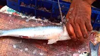 rohufish cutting skill | fish market | scale removing techniques | fishing