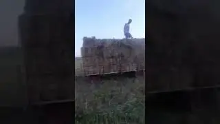 Всегда рады помочь.