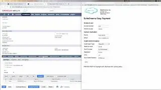 Head in the Cloud - Easy Payment SuiteApp for NetSuite