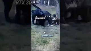 RTX 4080 vs RTX 3090 ti