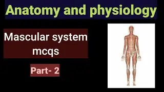 Human anatomy and physiology mcq|| muscular system MCQS