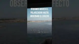 #polarizador
