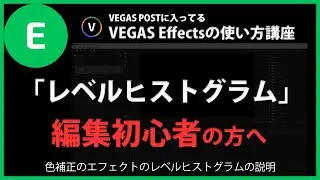 VEGAS Effectsの使い方「レベルヒストグラム」#99