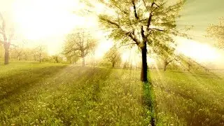 Polished Chrome - In The Garden