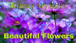 Красивая музыка с цветами (Beautiful flowers)!!!