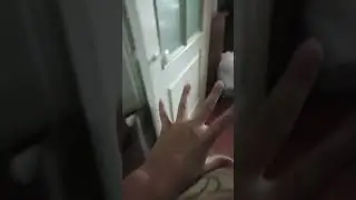 29 июня 2023 г.
