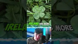 Facts You Didn't Know About The 4-Leaf-Clover 🍀