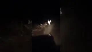 Ghost👻👻👻👻👻👻