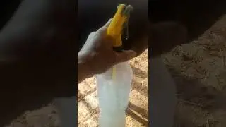 молларни битига карши дори килиш