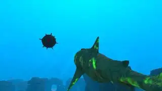 🔴 SHARKS Demo