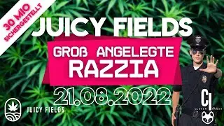 Juicy Fields - Groß angelegte Razzia durchgeführt 👮‍♂️ 30 Mio sichergestellt (Final Cut)