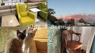 Vlog 3 | стул мечты | наклейки |