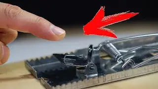 ¿Mi DEDO en una TRAMPA para RATONES?