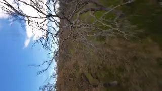 Ripping and crashing AOS LR5 Evo in the woods | FPV Freestyle