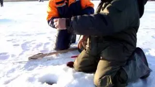 8 марта 2012г  Инголь