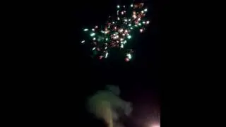 Салют